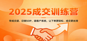2025成交实战训练营：学成交道、日销SOP，建客户系统，让下单更轻松，成交更丝滑-爱找项目网