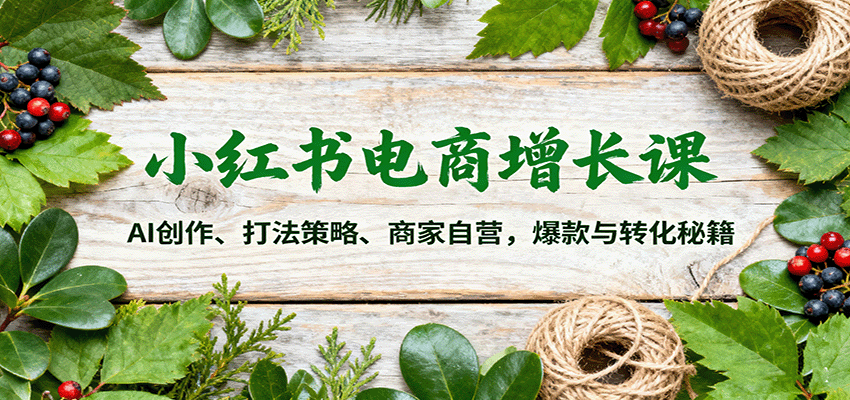 小红书电商增长课:AI创作、打法策略、商家自营,爆款与转化秘籍-爱找项目网