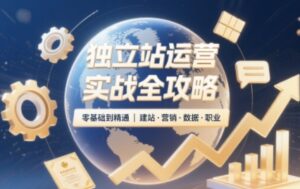 2025独立站运营实战全攻略-爱找项目网