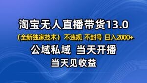 淘宝无人直播13.0,公域私域技术,不封号,不违规 布局下半年旺季赛道,日入2000+-爱找项目网