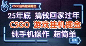 25年底搞钱回家过年,CSGO游戏挂机掘金,纯手机操作超简单-爱找项目网