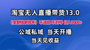 淘宝无人直播13.0，公域私域技术，不封号，不违规布局下半年旺季赛道，日入1K+(独家技术)【揭秘】-爱找项目网