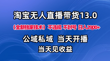 淘宝无人直播13.0，公域私域技术，不封号，不违规布局下半年旺季赛道，日入1K+(独家技术)【揭秘】-爱找项目网
