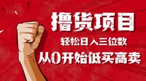 手把手教你撸货,从0开始低买高卖,小白轻松实现日入三位数!!!-爱找项目网