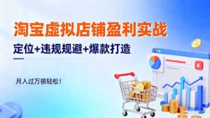 淘宝虚拟店铺盈利实战：定位+违规规避+爆款打造，月入过万很轻松！-爱找项目网