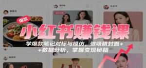 小红书赚钱课：学爆款笔记对标与模仿，做吸睛封面 + 数据分析，掌握变现秘籍-爱找项目网