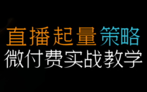 半野老师·直播带货起量与微付费必学课视频号-爱找项目网