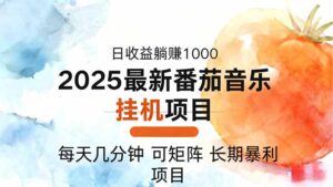 2025年最新番茄音乐人挂机项目，每天几分钟，月入1000＋，可矩阵，一台...-爱找项目网