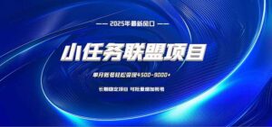 小任务联盟项目：一台电脑每天只需10分钟，轻松简单稳定-爱找项目网