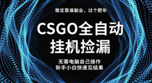 【稳定副业】全球最热门游戏CSGO全自动捡漏，最新玩法，新手小白日入5张+【揭秘】-爱找项目网