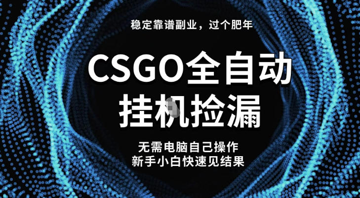【稳定副业】全球最热门游戏CSGO全自动捡漏,最新玩法,新手小白日入5张+【揭秘】-爱找项目网