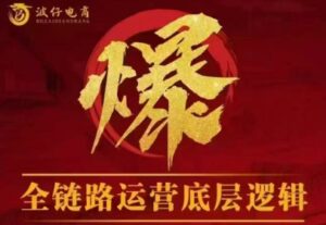 波仔电商·拼多多年卡会员(更新10月)-爱找项目网