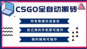 CSGO全自动搬砖，年底钱回家好项目，当天可拿到结果，新手小白轻松月入1W+【揭秘】-爱找项目网