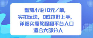 番茄小说10米每单，实拍玩法，0成本好上手，详细实操教程和平台入口适合大部分人-爱找项目网
