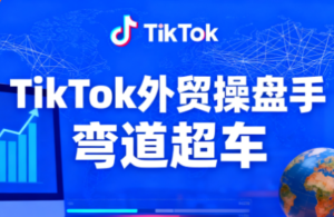 TikTok外贸操盘手(更新11月)-爱找项目网