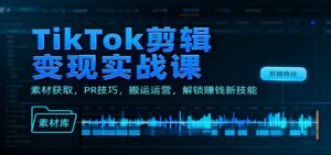 TikTok剪辑变现实战课：素材获取，PR技巧，搬运运营，解锁赚钱新技能-爱找项目网
