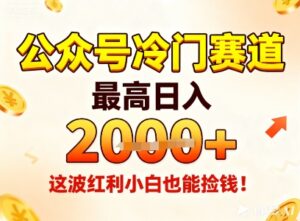 公众号冷门赛道，最高日入1k+，这波红利小白也能捡钱！-爱找项目网