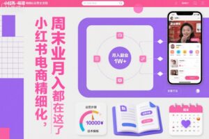 小红书电商精细化运营全流程，周末副业月入1W+，全套方法都在这了-爱找项目网