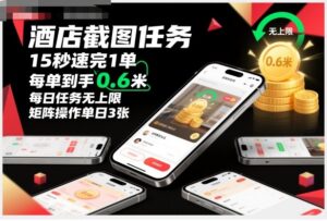 酒店截图任务，15秒速完1单，每单到手0.6米，每日任务无上限，全网首发玩法，矩阵操作单日3张【揭秘】-爱找项目网