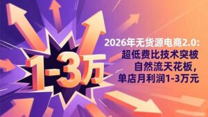 2026年无货源电商2.0：超低费比技术突破自然流天花板，单店月利润1-3万元-爱找项目网