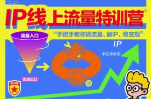IP线上流量特训营，手把手教你搞流量、做IP、稳变现-爱找项目网
