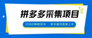 拼多多电商采集，一小时50+，操作简单，零投资-爱找项目网