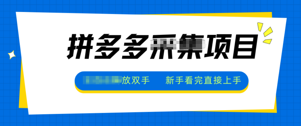 拼多多电商采集,一小时50+,操作简单,零投资-爱找项目网