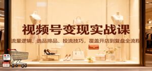 视频号变现实战课：流量逻辑、选品排品、投流技巧，覆盖开店到复盘全流程-爱找项目网