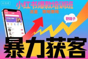 小红书爆款培训班，小红书获客野路子流量打法，暴力持续获客-爱找项目网