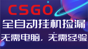 【副业好项目】全球火爆游戏CSGO自动捡漏，新手小白日入500+-爱找项目网