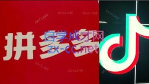 老陶电商·拼多多+抖音小店无货源开店(更新11月)-爱找项目网