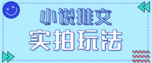 小说推文实拍玩法，零成本零门槛10元/单，轻松月收益万元-爱找项目网