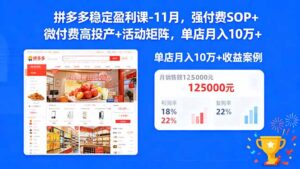 拼多多稳定盈利课-11月，强付费SOP+微付费高投产+活动矩阵，单店月入10万+-爱找项目网