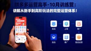 拼多多运营高手-10月训练营：讲解从新手到高阶玩法的完整运营体系！-爱找项目网