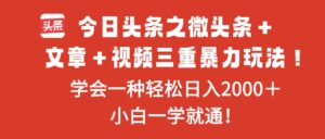 今日头条之微头条＋文章＋视频三重暴力玩法，学会一种轻松日入2000＋，...-爱找项目网