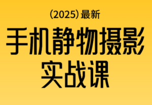 金老师·2025爆款手机静物摄影实战课-爱找项目网