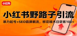 小红书野路子引流，暴力起号+SEO霸屏截流，移花接木日获客100+-爱找项目网