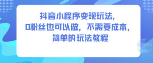 抖音小程序变现玩法，0粉丝也可以做，不需要成本，简单的玩法教程-爱找项目网