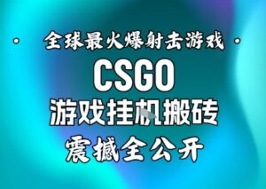 【年底大揭秘】基于全球最火爆的射击CSGO游戏挂G搬砖，日入5张+，震撼公开-爱找项目网