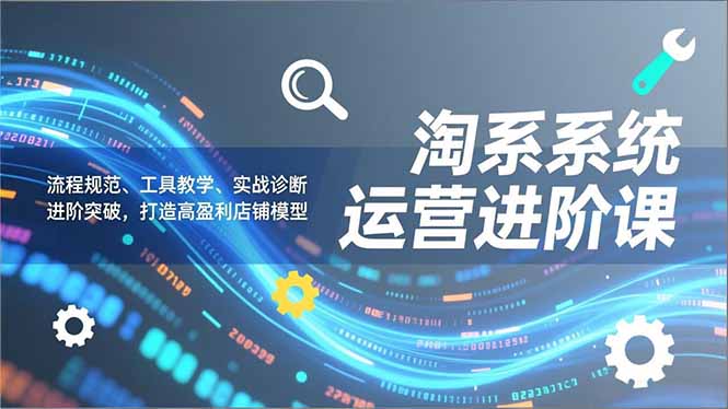淘系系统运营进阶课2.0，流程规范、工具教学、实战诊断，进阶突破，打造高盈利店铺模型-爱找项目网