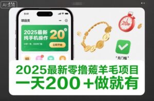 2025最新零撸薅羊毛项目，纯手机操作，20秒一单，无任何门槛，一天200+做就有【揭秘】-爱找项目网