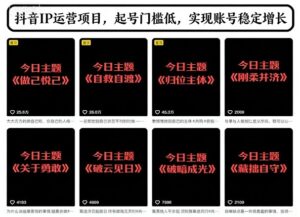 抖音IP运营项目，抖音今日主题玩法，起号门槛低，实现账号稳定增长-爱找项目网