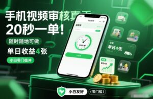 手机视频审核真香！20秒一单，随时随地可做，单日收益4张，小白零门槛冲【揭秘】-爱找项目网