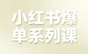 小红书爆单系列课，聚焦小红书电商全链路增长(更新)-爱找项目网