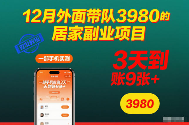 12月外面带队3980的居家副业项目,一部手机实测3天到账9张+,首发教程【揭秘】-爱找项目网