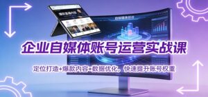 企业自媒体账号运营实战课：定位打造+ 爆款内容+数据优化，快速提升账号权重-爱找项目网