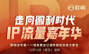 2025ip嘉年华万人12月14深圳线下课，走向微利时代，IP流量嘉年华，实操性极强的商业干货课-爱找项目网