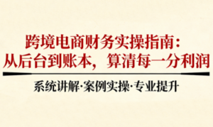 2025跨境电商财务实操指南-爱找项目网