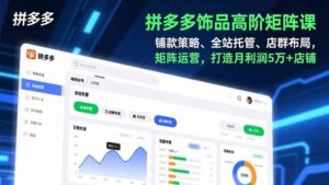 拼多多饰品高阶矩阵课，铺款策略、全站托管、店群布局，矩阵运营，打造月利润5万+店铺-爱找项目网