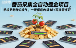 番茄采集全自动掘金项目，手机无脑挂G操作，一天保底收益18+可批量多开【揭秘】-爱找项目网